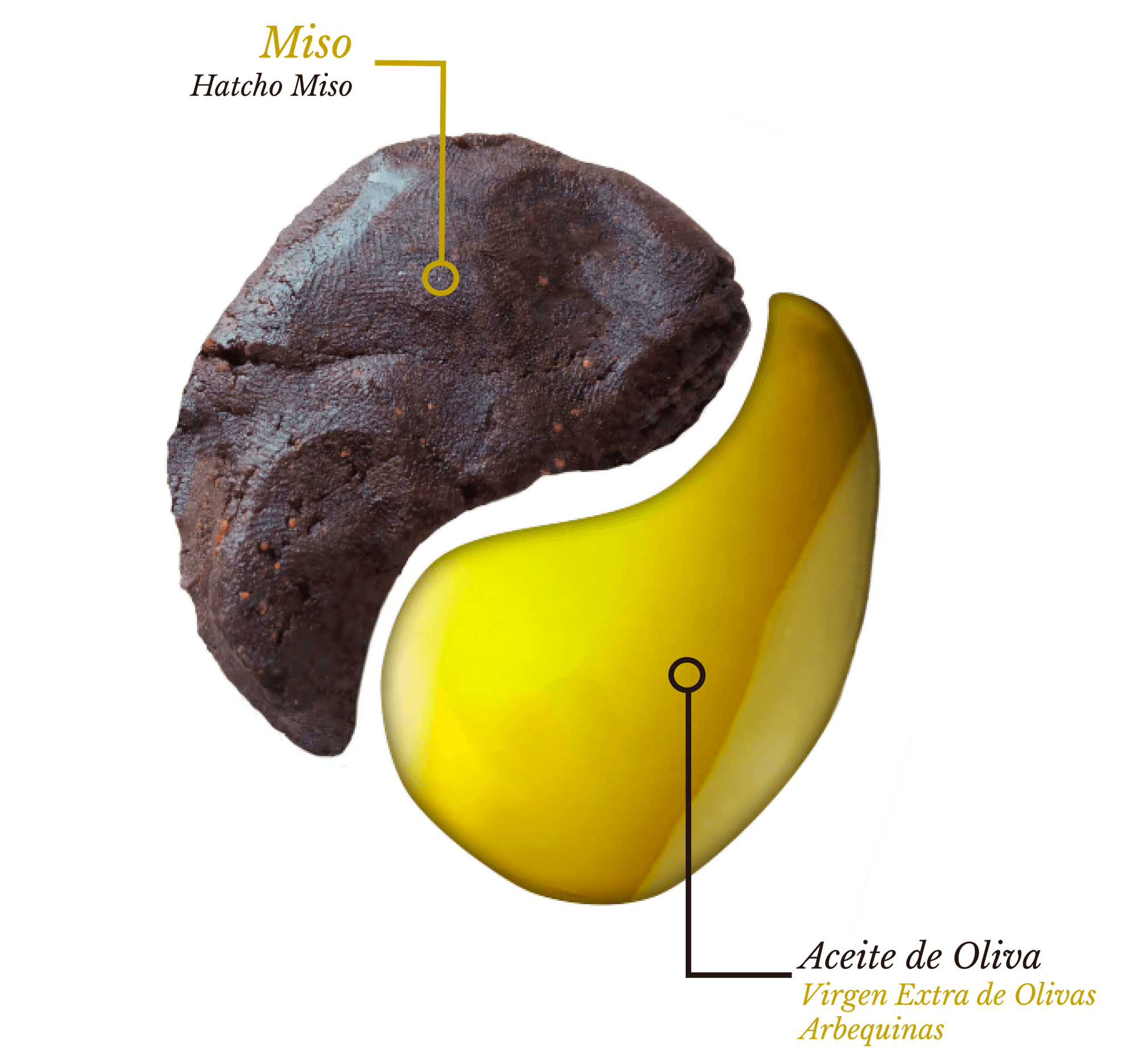 The Original MISOIL — el encuentro entre el miso japonés y el aceite de oliva mediterráneo